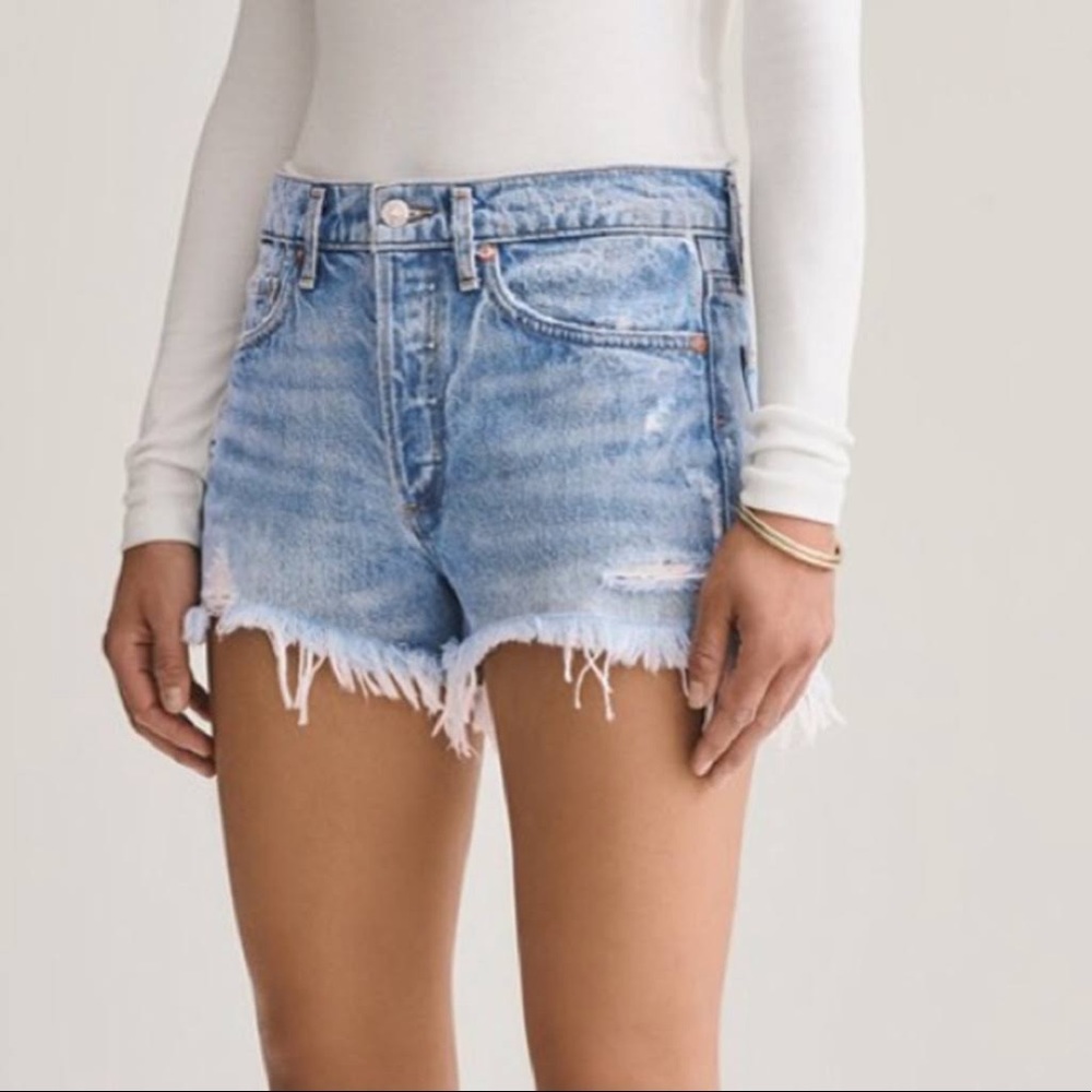 AGOLDE Parker Denim Shorts in Swapmeet, size 28